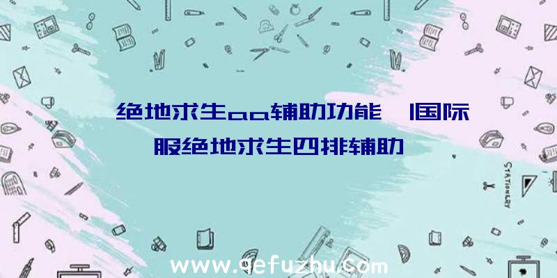 「绝地求生aa辅助功能」|国际服绝地求生四排辅助